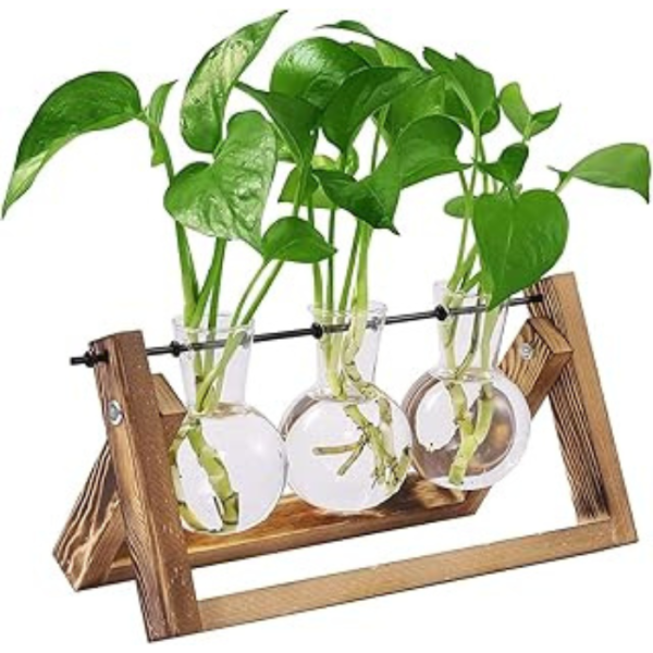 3Pcs Hydroponics Glass Planter